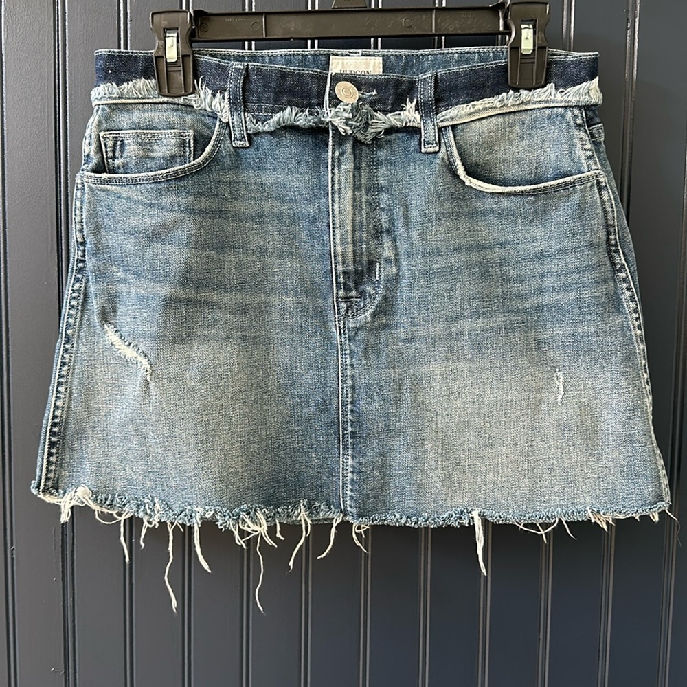 Hudson Miniskirt